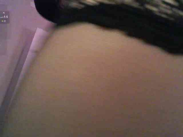 pollymorph webcam