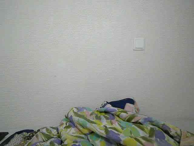veeshie webcam