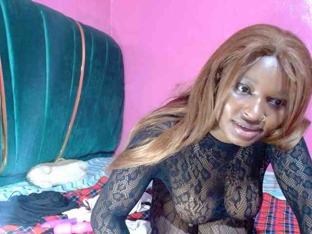 AfricanHoneyX AfricanHoneyX