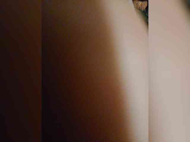 Kroliki30 webcam