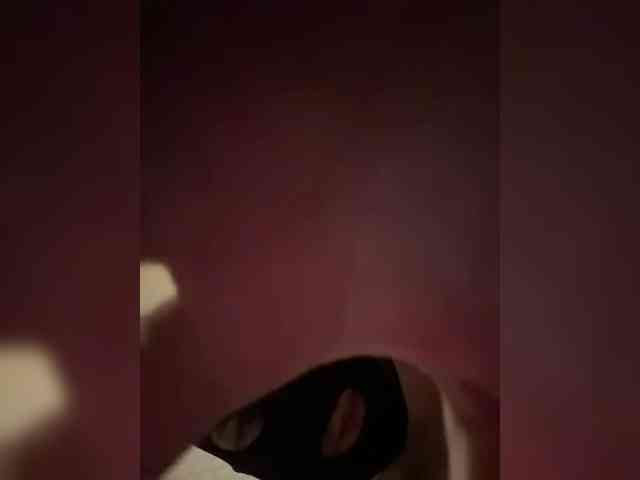 Kroliki30 webcam