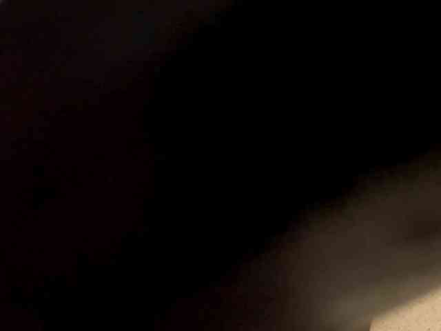 DaineMalbon webcam