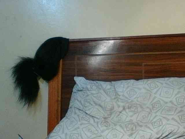 Kishylovee webcam