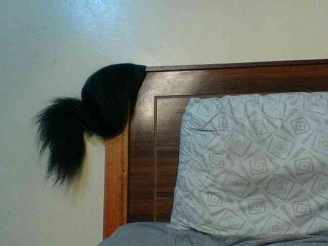 Kishylovee webcam
