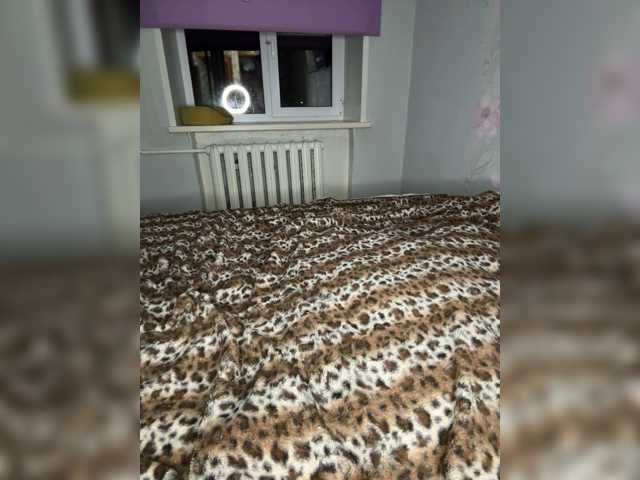Hisonel live cam on BongaCams