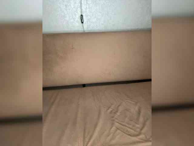 Hisonel webcam