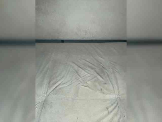 Hisonel webcam