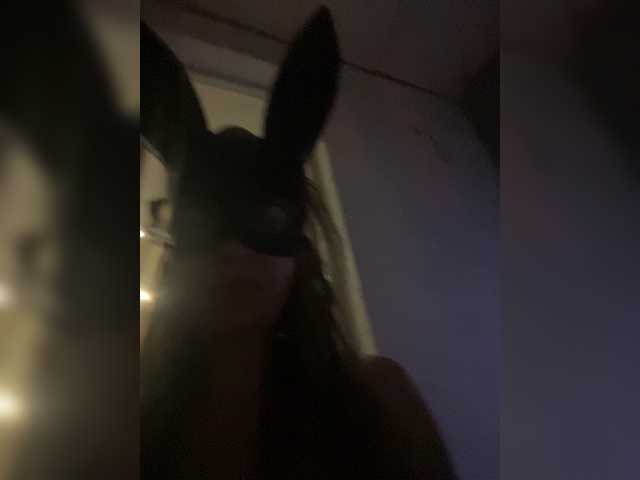 Sara102 live webcam show