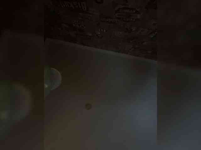 Sara102 webcam