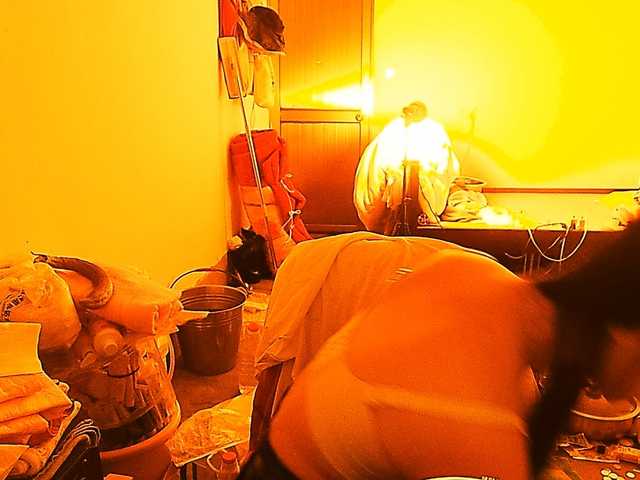 TransElfenungehindert live webcam show
