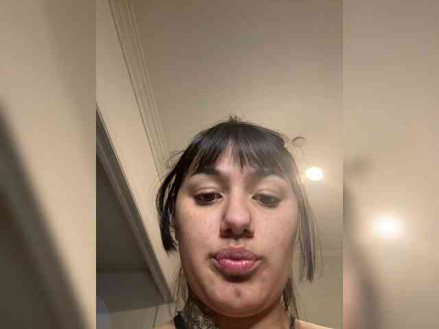 Vquino webcam