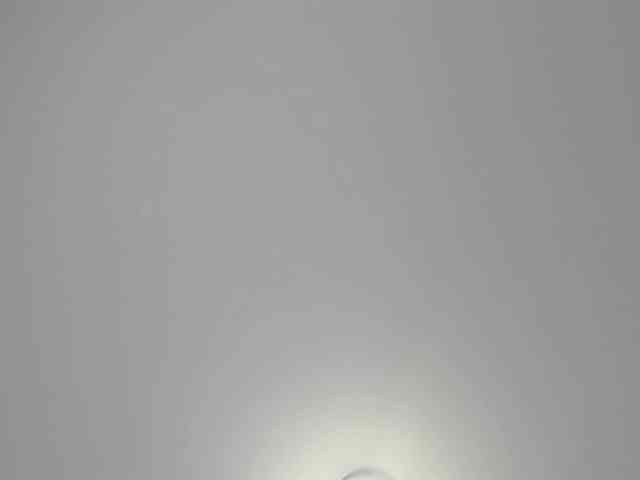 sweetafrican-squirt webcam