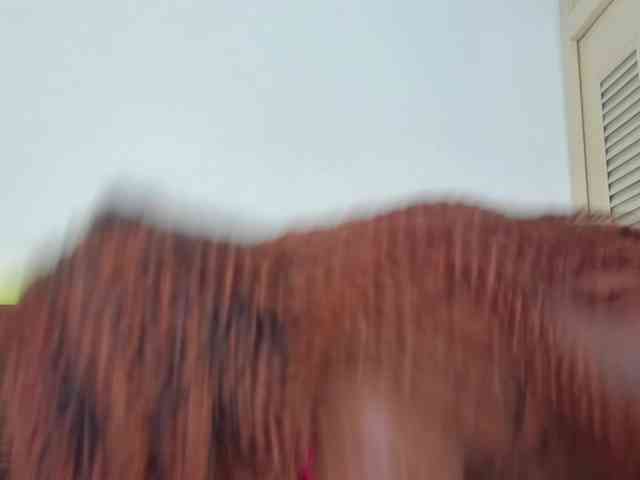 sweetafrican-squirt webcam