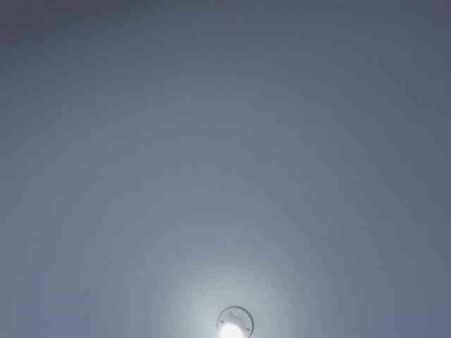 sweetafrican-squirt webcam