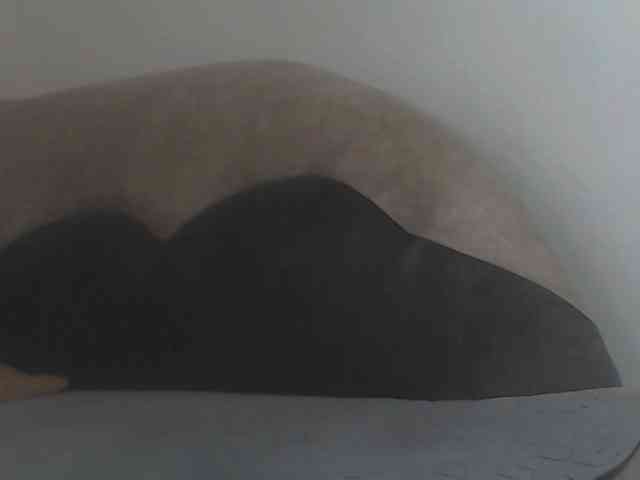 Nikol19721 webcam