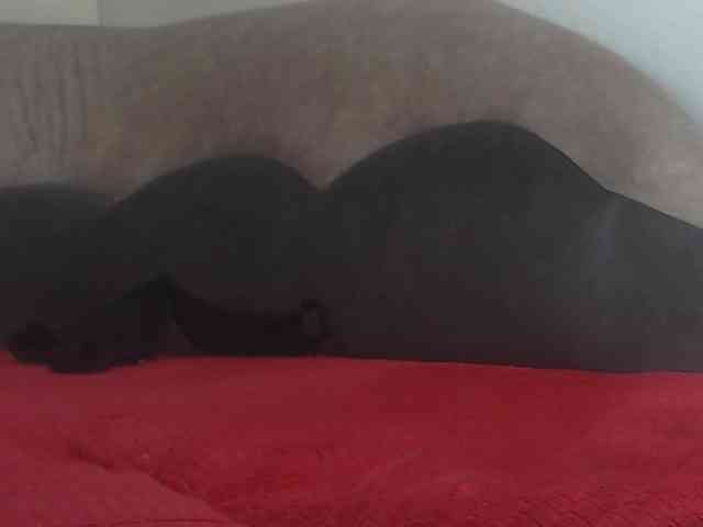 Nikol19721 webcam