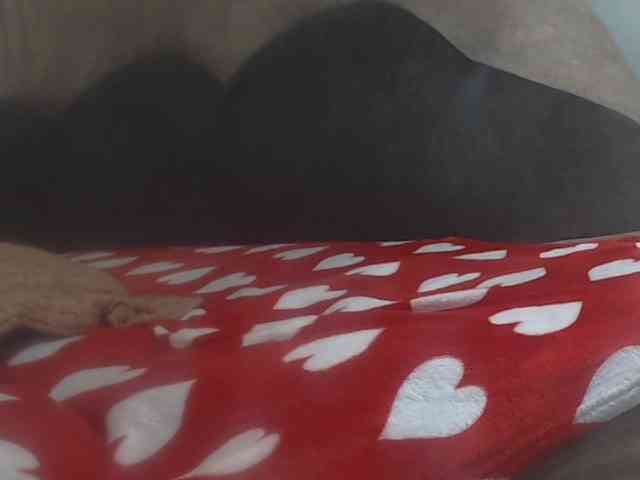 Nikol19721 webcam