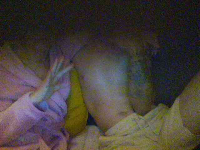 Parejajoven webcam