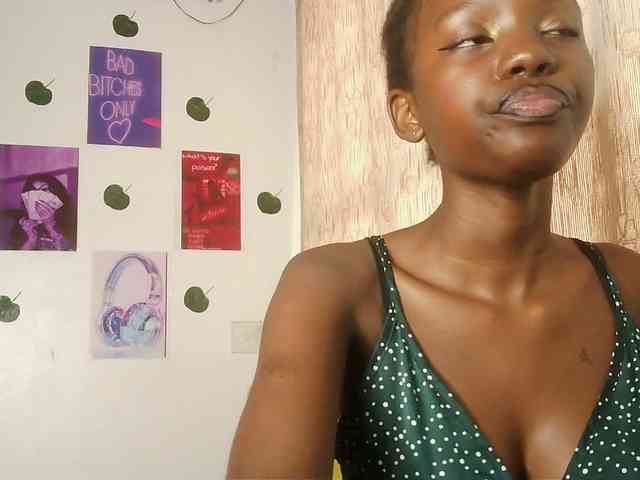 17yesterday webcam