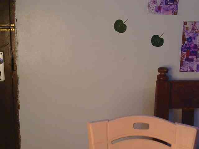 17yesterday webcam