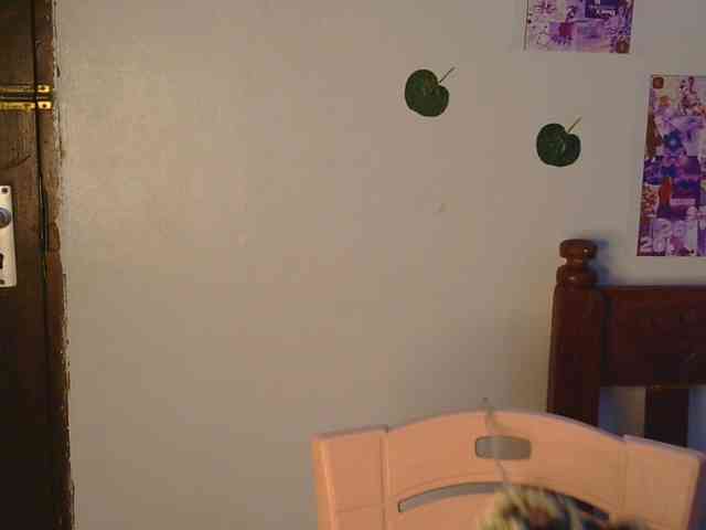 17yesterday webcam