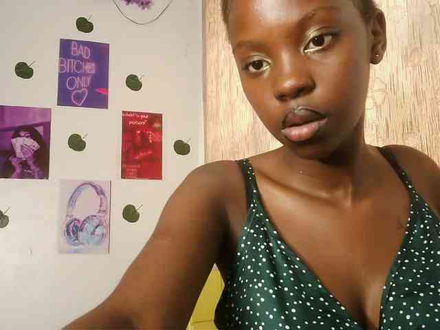 17yesterday webcam