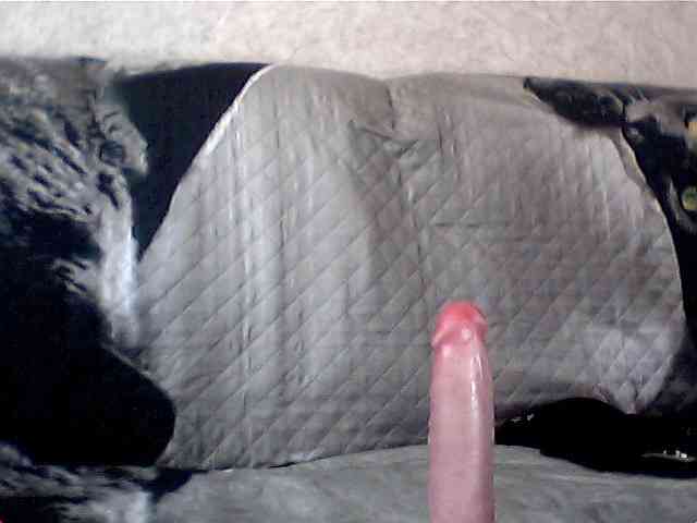 olesyaLAV webcam