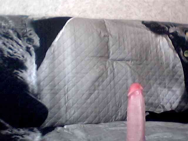 olesyaLAV webcam