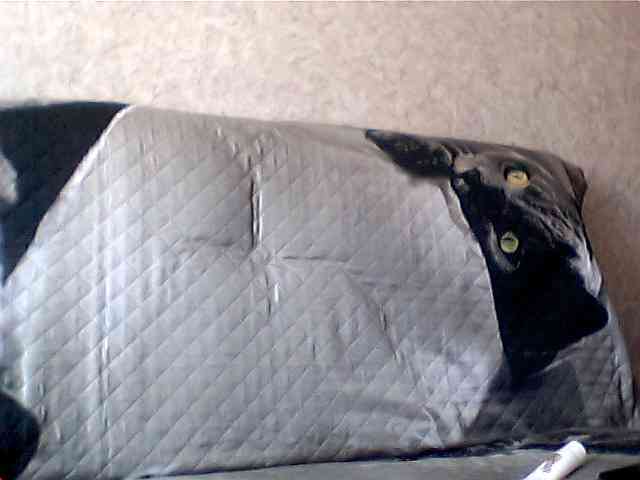 olesyaLAV webcam
