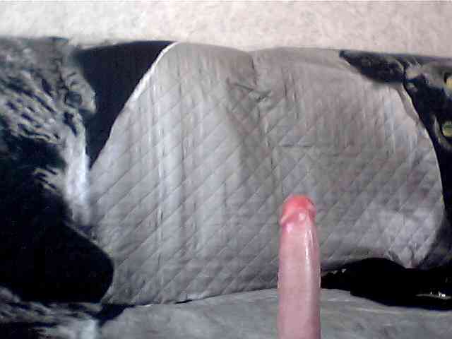 olesyaLAV webcam