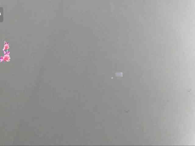 RosalynSturner webcam