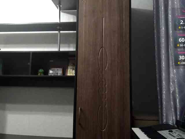RosalynSturner webcam