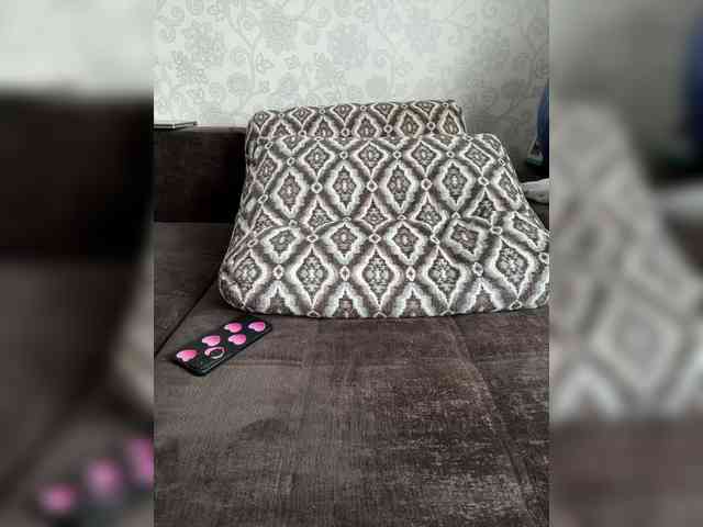 Lunelly webcam