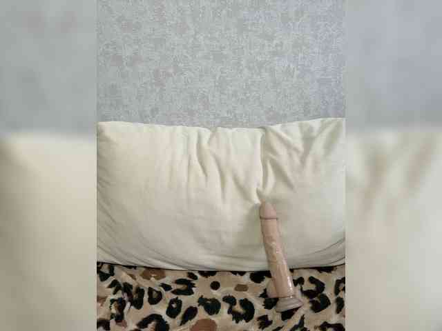 Lunelly webcam