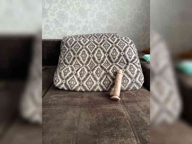 Lunelly webcam