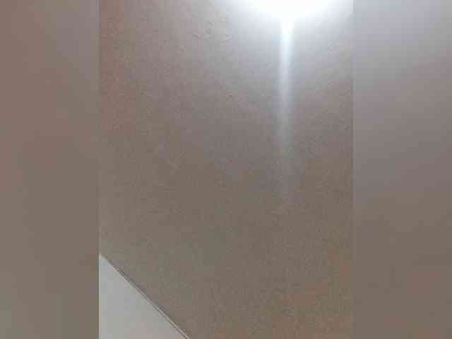 Toromila123 webcam