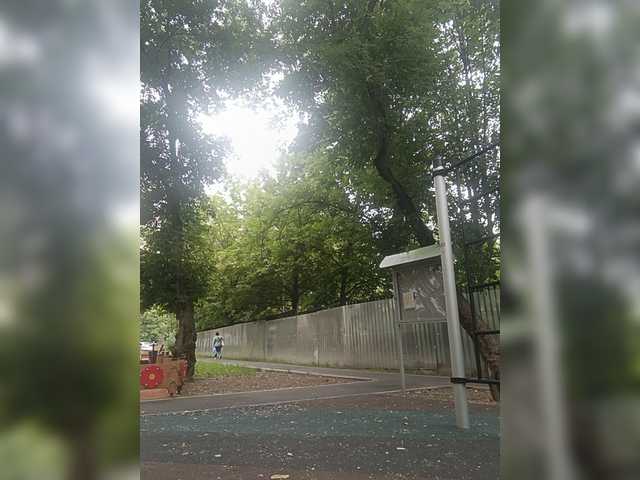 Dima00111111111