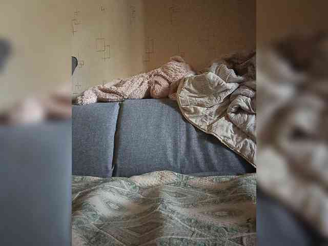 Dima00111111111