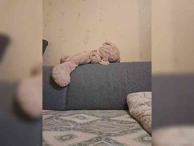 Dima00111111111