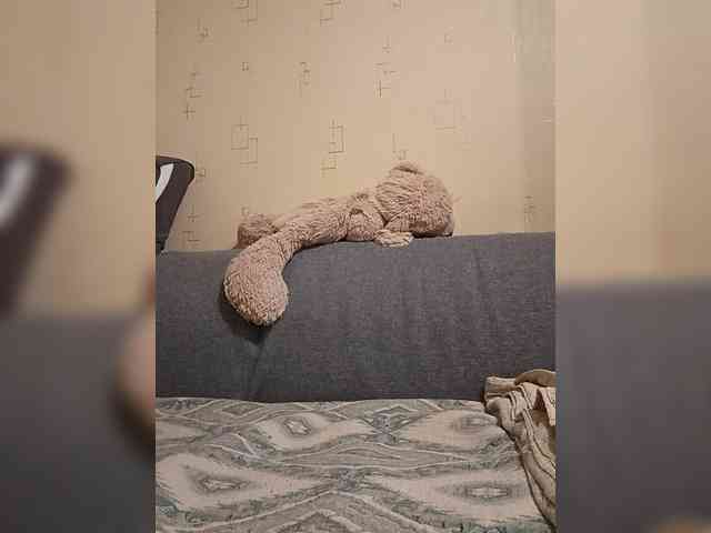Dima00111111111