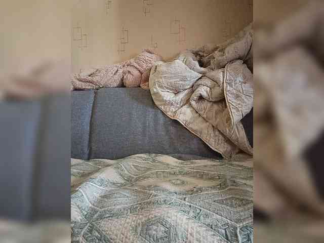 Dima00111111111