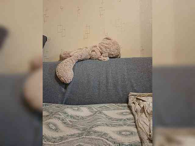 Dima00111111111