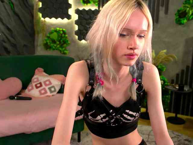 shishka-angel webcam
