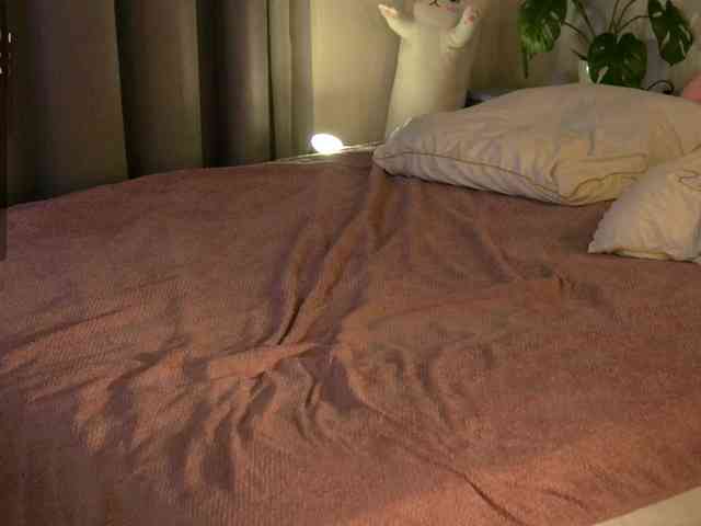 shishka-angel webcam