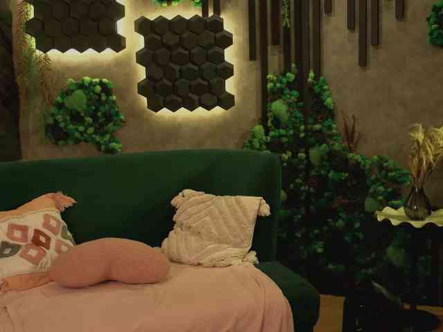 shishka-angel webcam