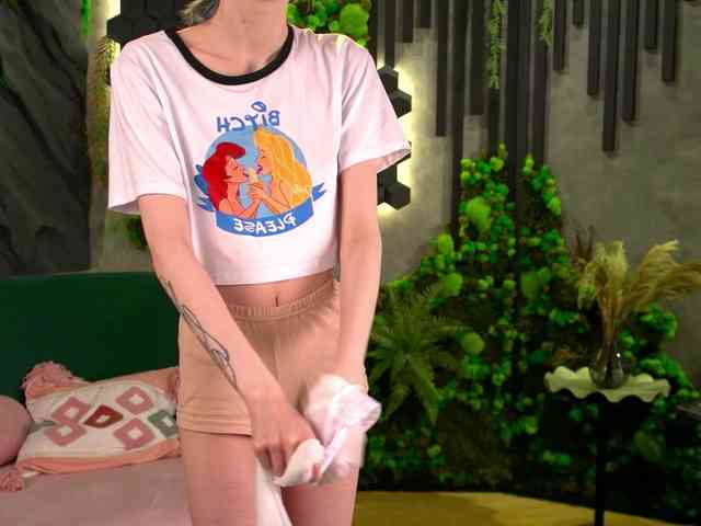 shishka-angel webcam