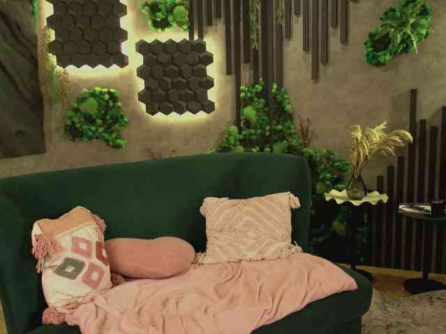 shishka-angel webcam