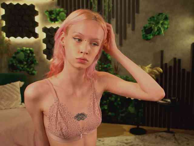 shishka-angel webcam