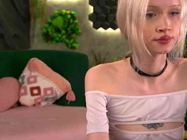 shishka-angel webcam
