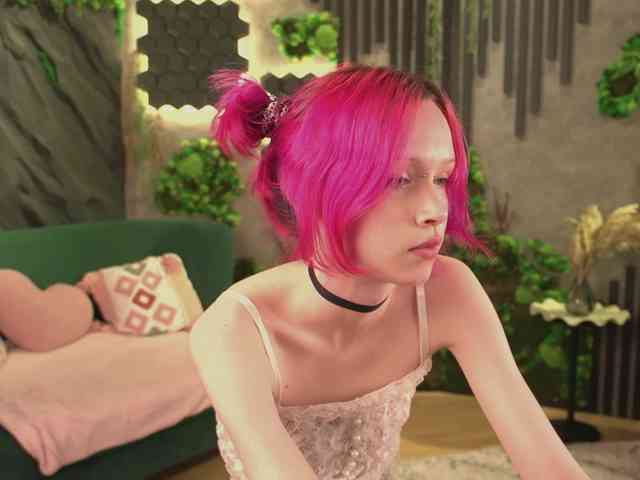 shishka-angel webcam